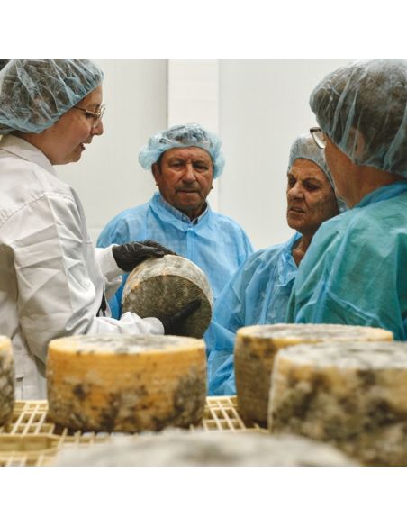 VISITA NUESTRA QUESERÍA CON DEGUSTACIÓN DE 6 REFERENCIAS DE QUESO Visita Tienda quesos online