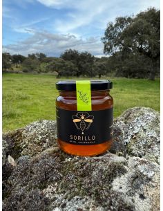 Miel Artesanal de Retama Alacena Tienda quesos online 2