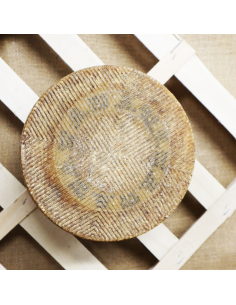 Queso de oveja DOP Manchego. Quesoteca Cuevas, centro de afinado. 2