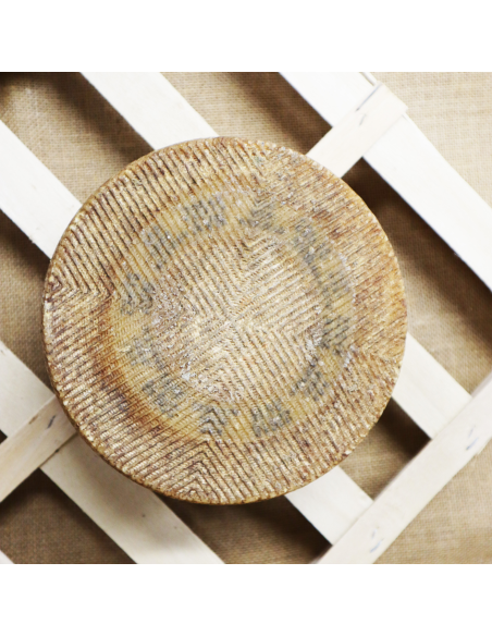 Queso de oveja DOP Manchego. Quesoteca Cuevas, centro de afinado.