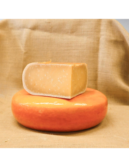 Gouda Fermier DOP. Quesoteca Cuevas, centro de afinado. Queso de vaca. Queso holandés