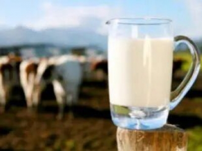 La seguridad de la leche cruda vs. la leche pasteurizada