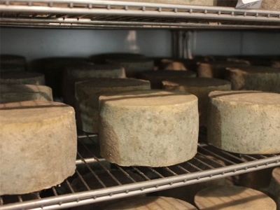 La quesería Goine, de Asteasu, entre las mejores del mundo
